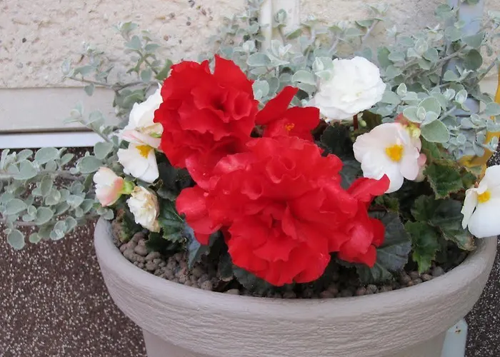 Astos Pensjonat Połąga